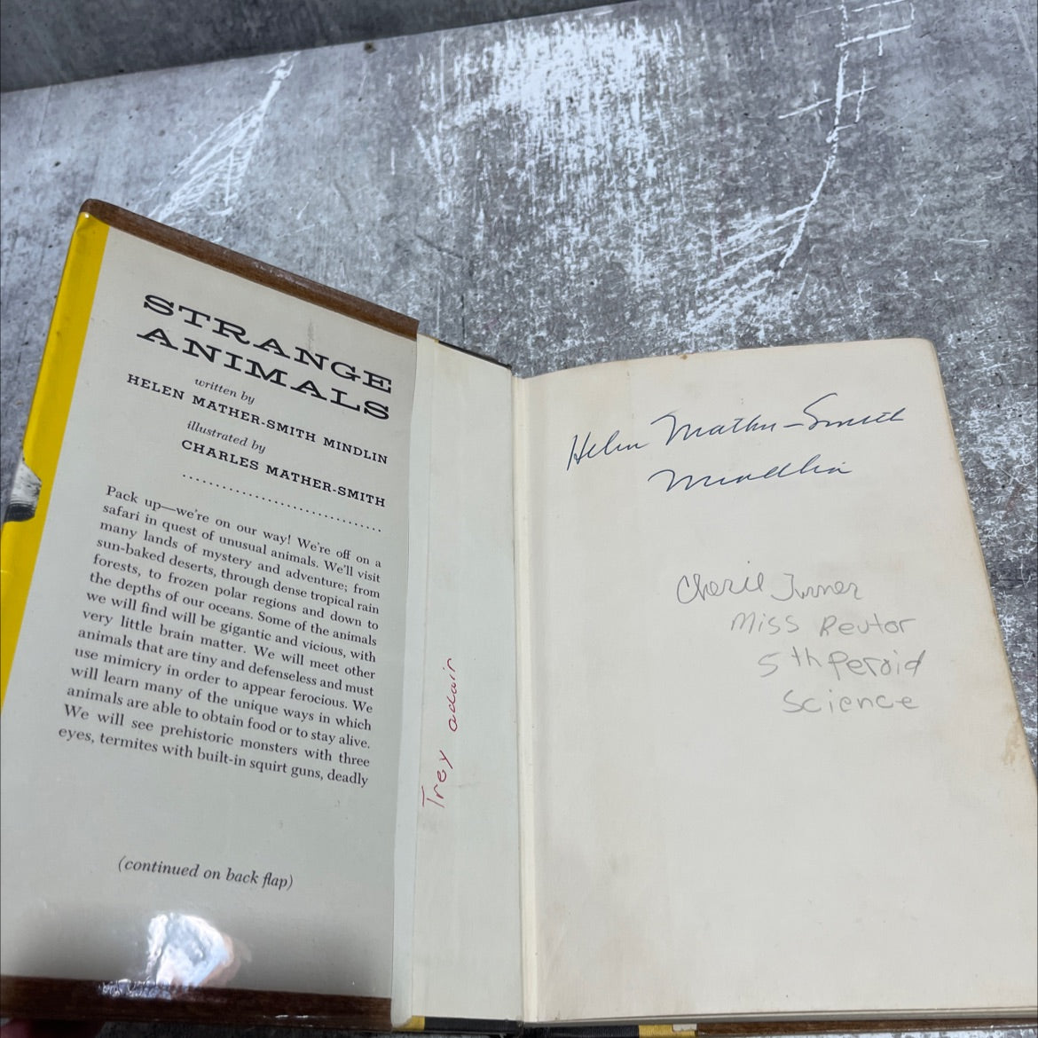 SIGNED strange animals book, by Helen Mather-Smith Mindlin, 1962 Hardcover, First Edition, Vintage image 4