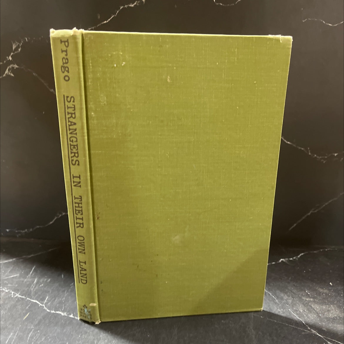 strangers in their own land book, by Albert Prago, 1973 Hardcover image 1