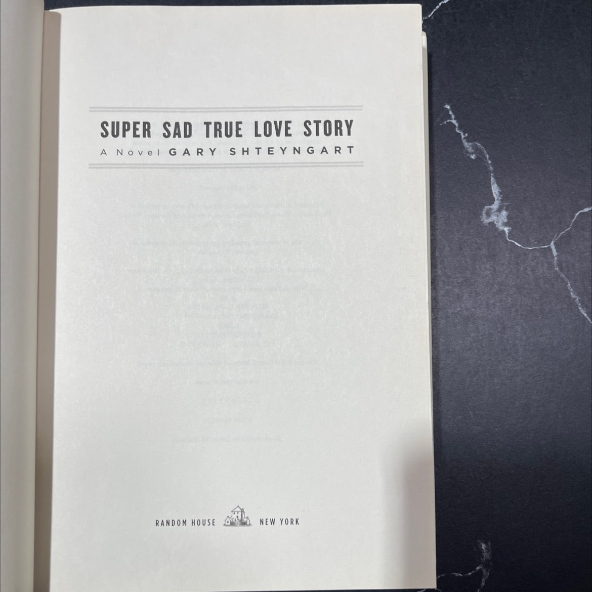super sad true love story book, by Gary Shteyngart, 2010 Hardcover image 2