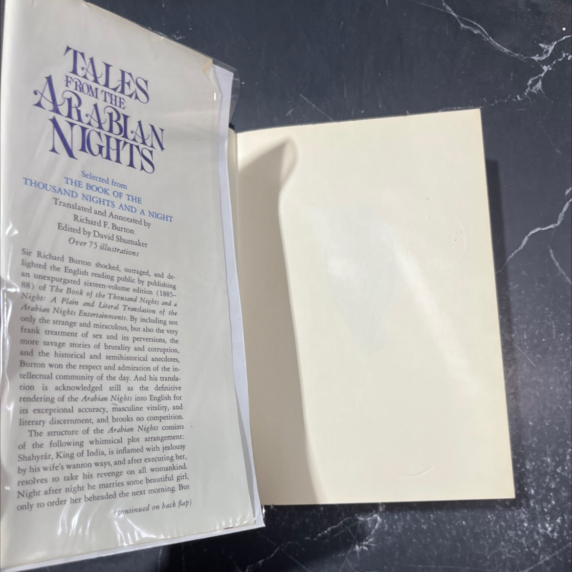 tales from the arabian nights selected from the book of the thousand nights and a night book, by richard f. burton, image 4