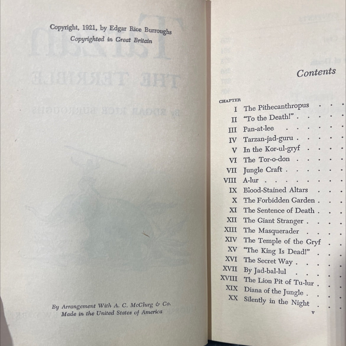 tarzan the terrible book, by edgar rice burroughs, 1921 Hardcover image 3