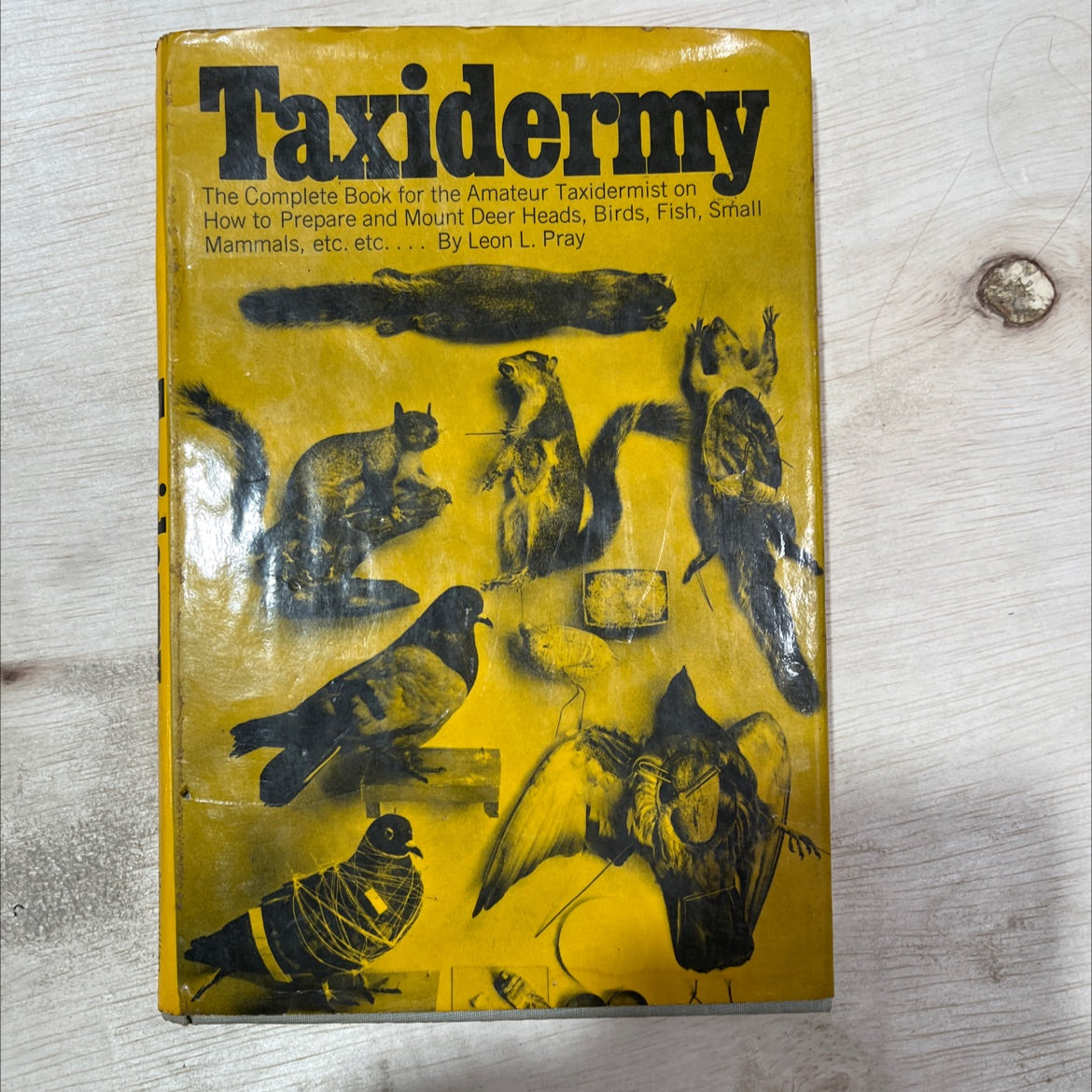 taxidermy book, by leon l. pray, 1972 Hardcover, Vintage image 1