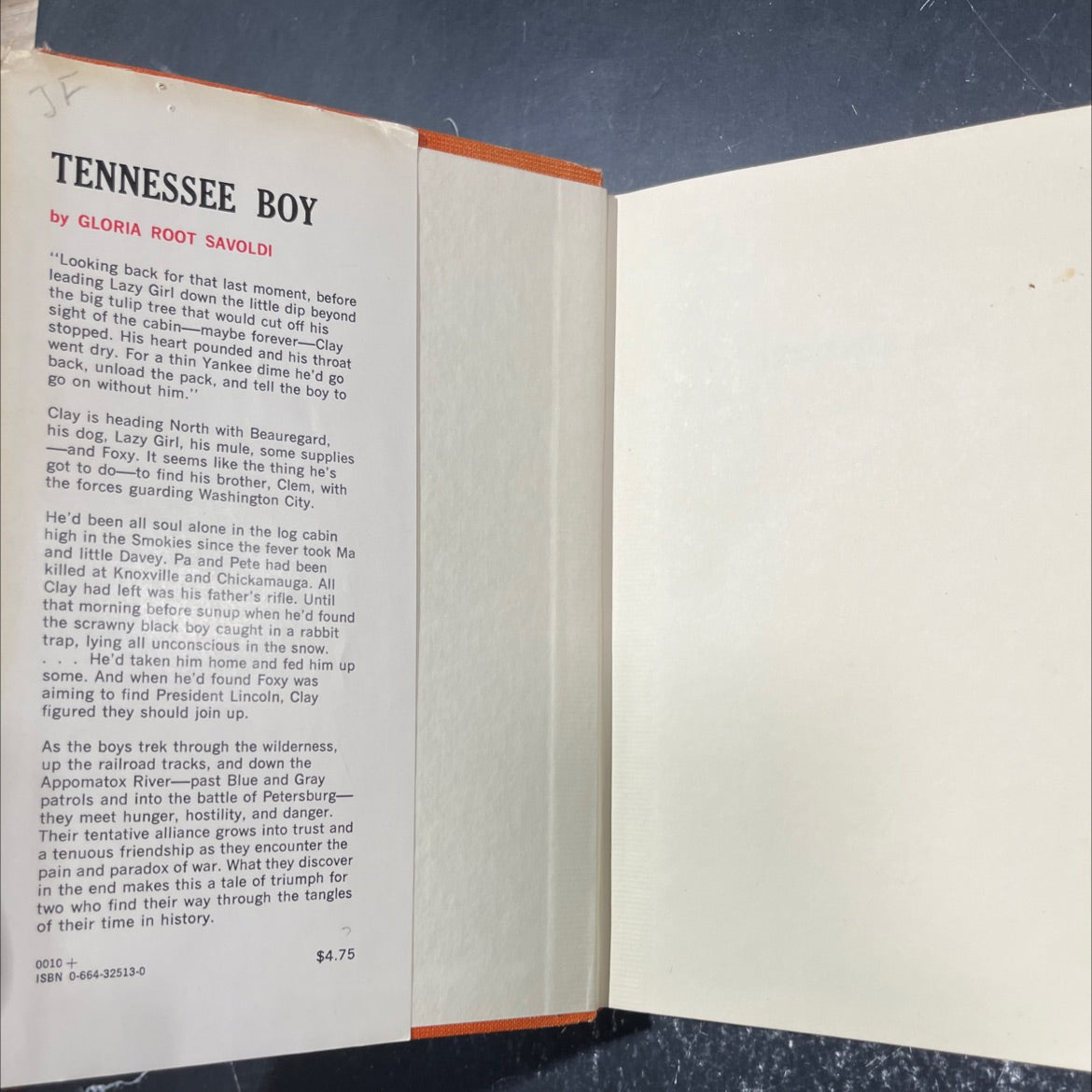 tennessee boy book, by gloria root savoldi, 1972 Hardcover image 4