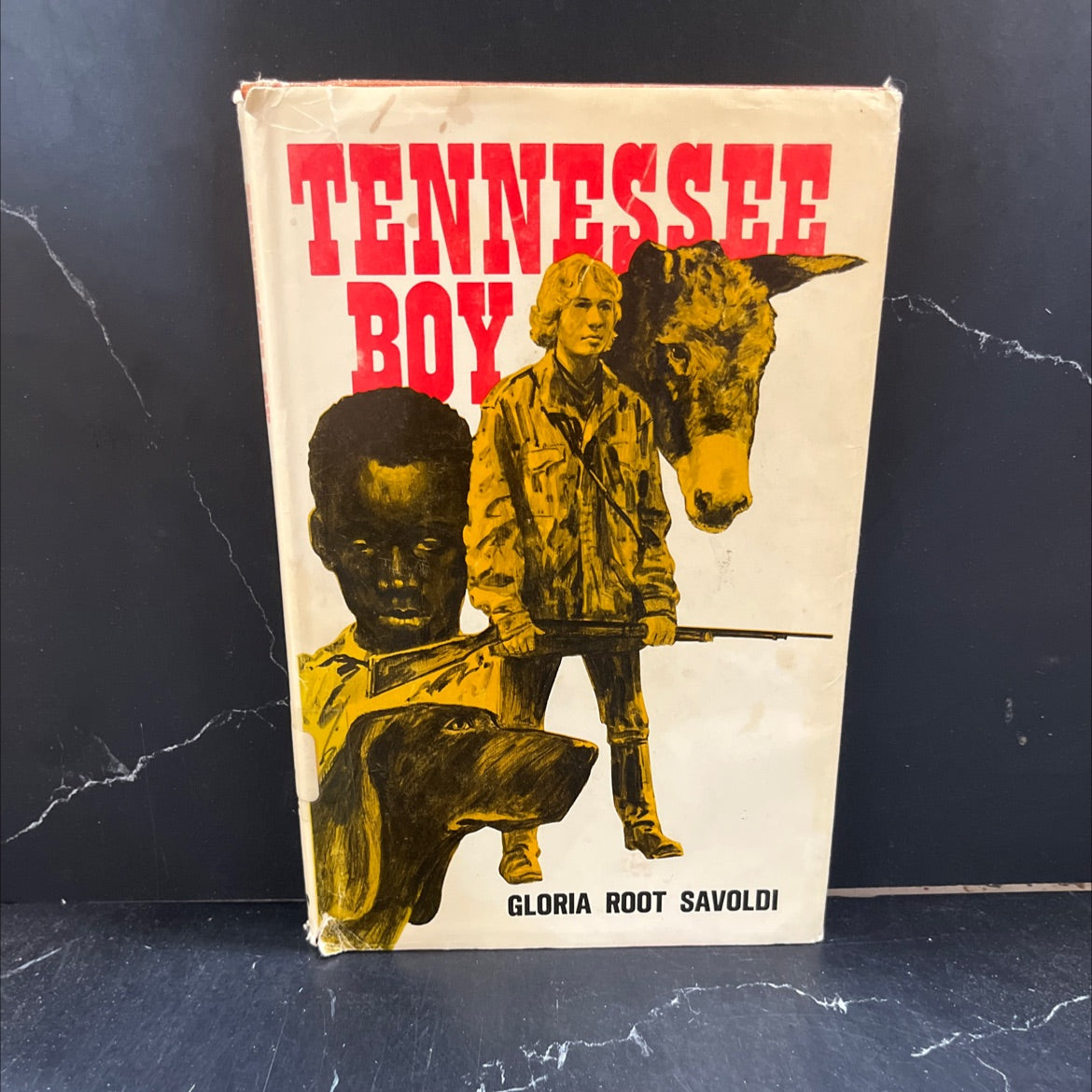 tennessee boy book, by gloria root savoldi, 1972 Hardcover image 1
