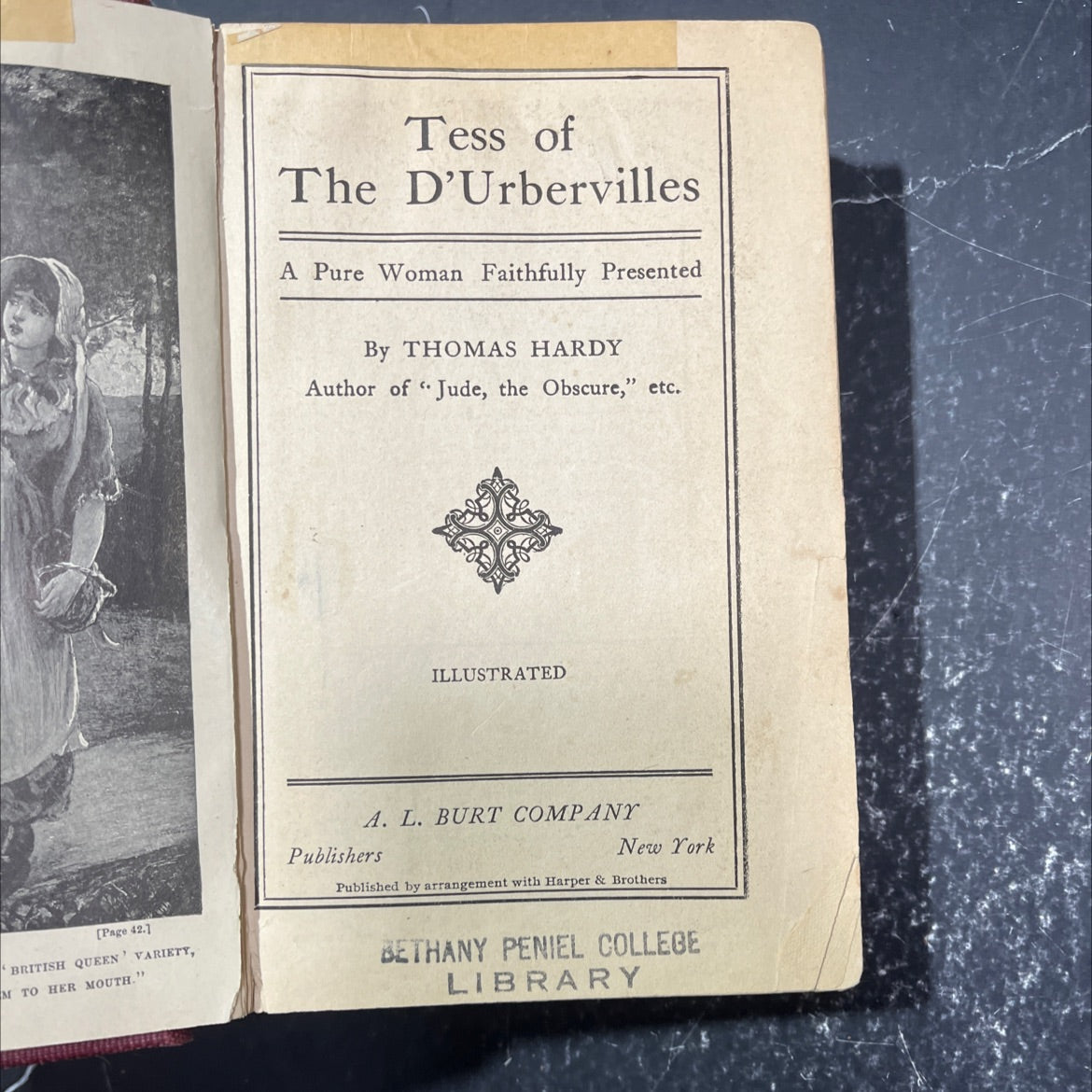 tess of the d'urbervilles a pure woman faithfully presented book, by thomas hardy, 1921 Hardcover image 2