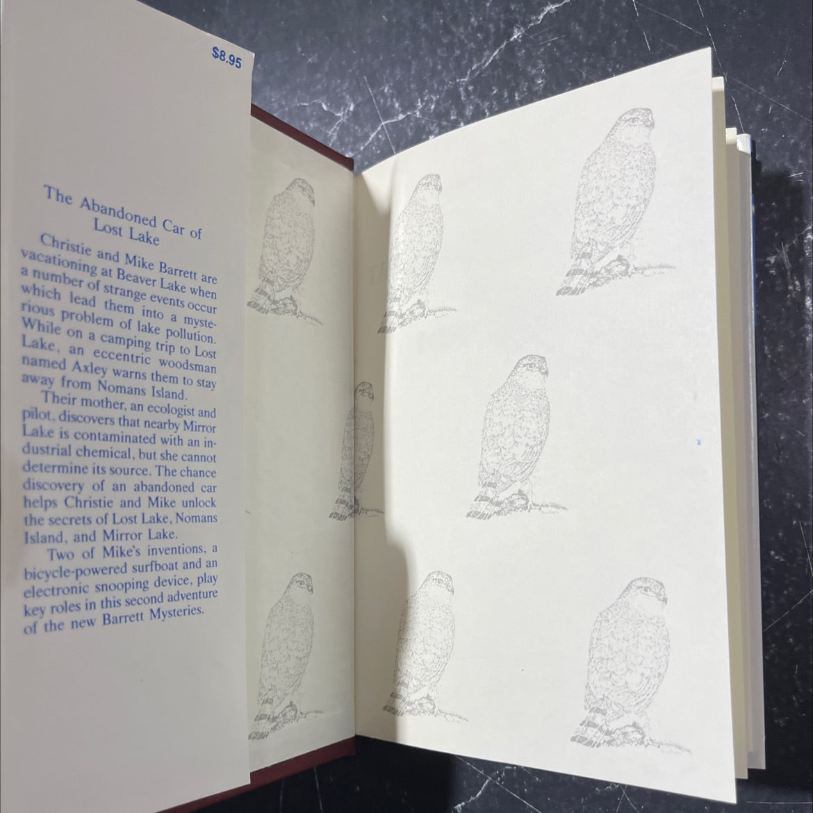 the abandoned car of lost lake book, by Richard Fretwell and Jill Hathaway, 1985 Hardcover image 4