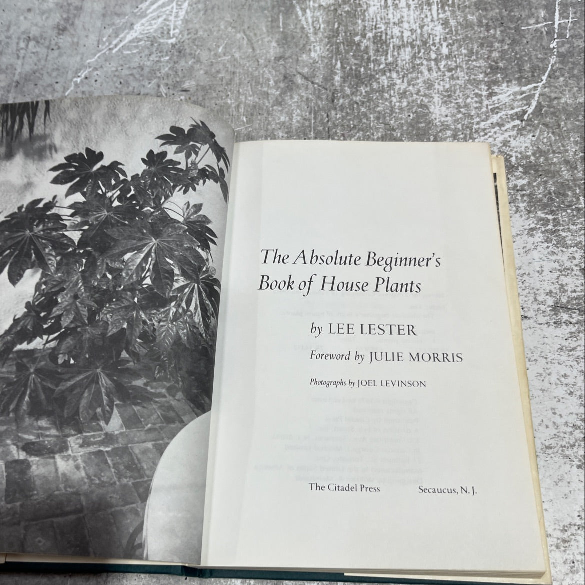 the absolute beginner's book of house plants book, by lee lester, 1975 Hardcover image 2