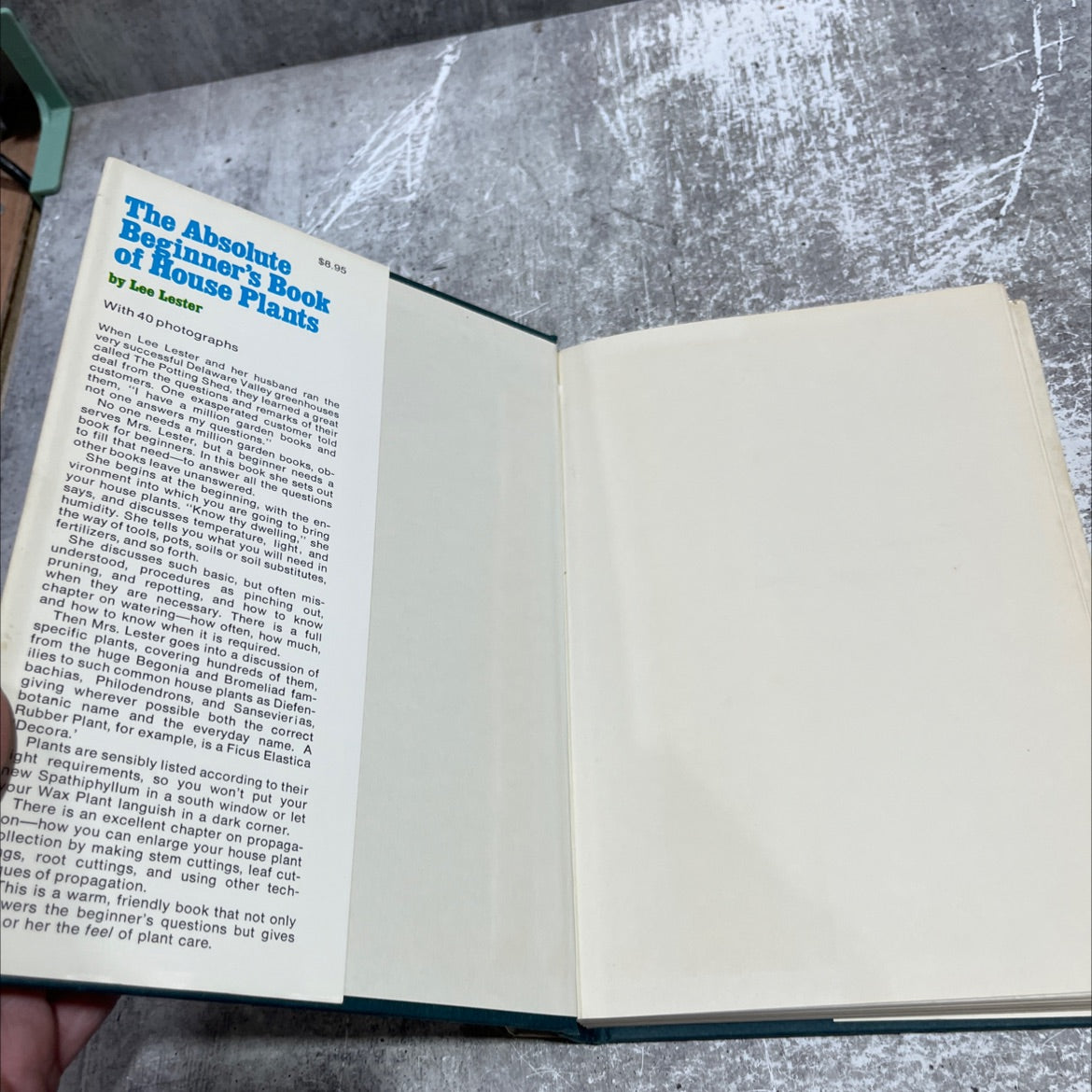 the absolute beginner's book of house plants book, by lee lester, 1975 Hardcover image 4