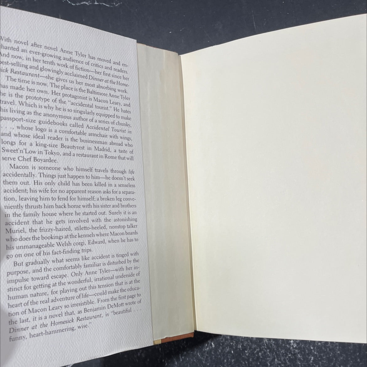 the accidental tourist book, by Anne Tyler, 1985 Hardcover image 4