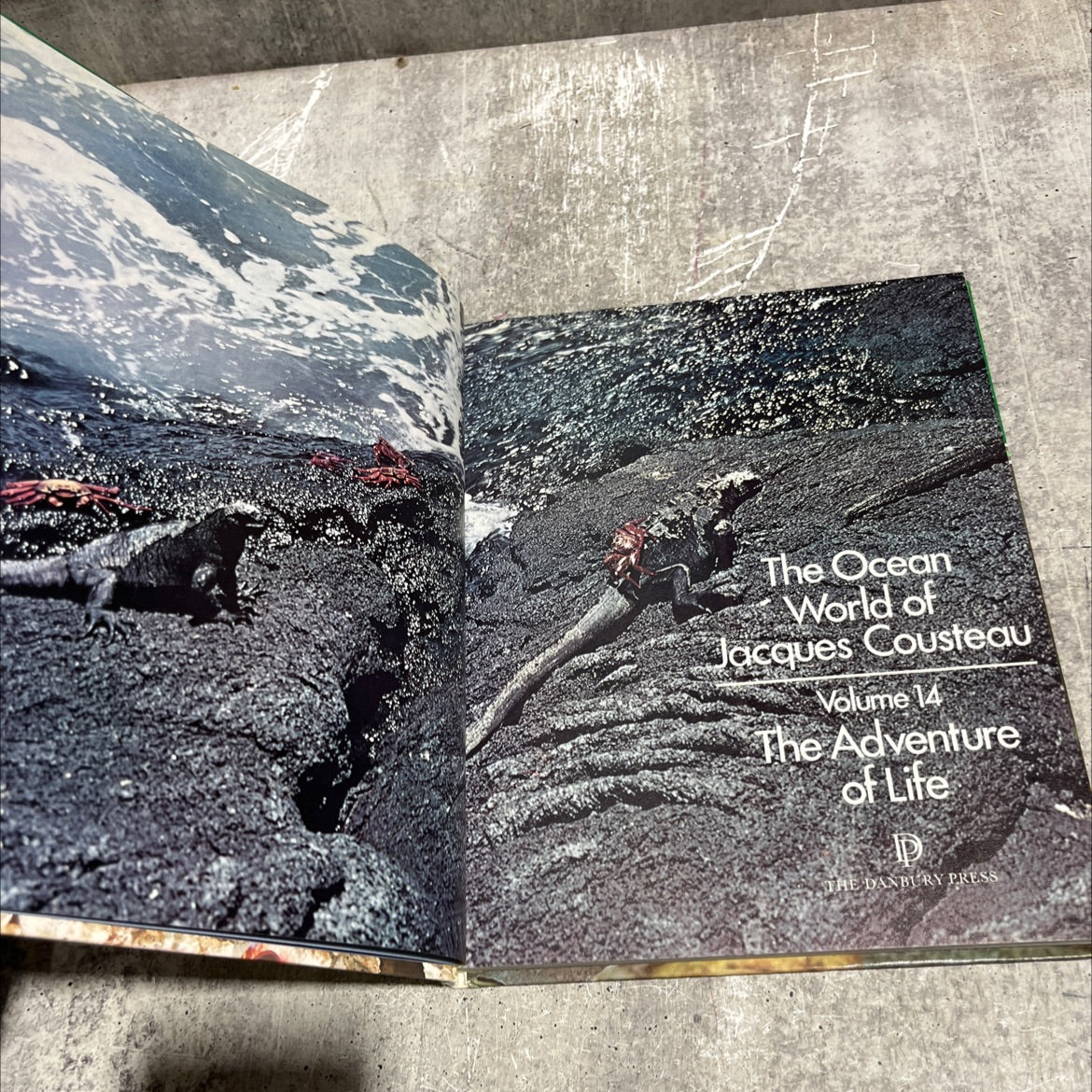 the adventure of life book, by Jacques Yves Cousteau, 1975 Hardcover image 2