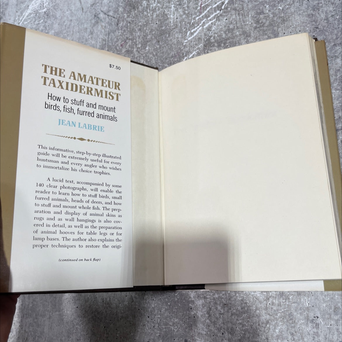 the amateur taxidermist a step-by-step illustrated handbook on how to stuff and preserve birds, fish, and furred image 4