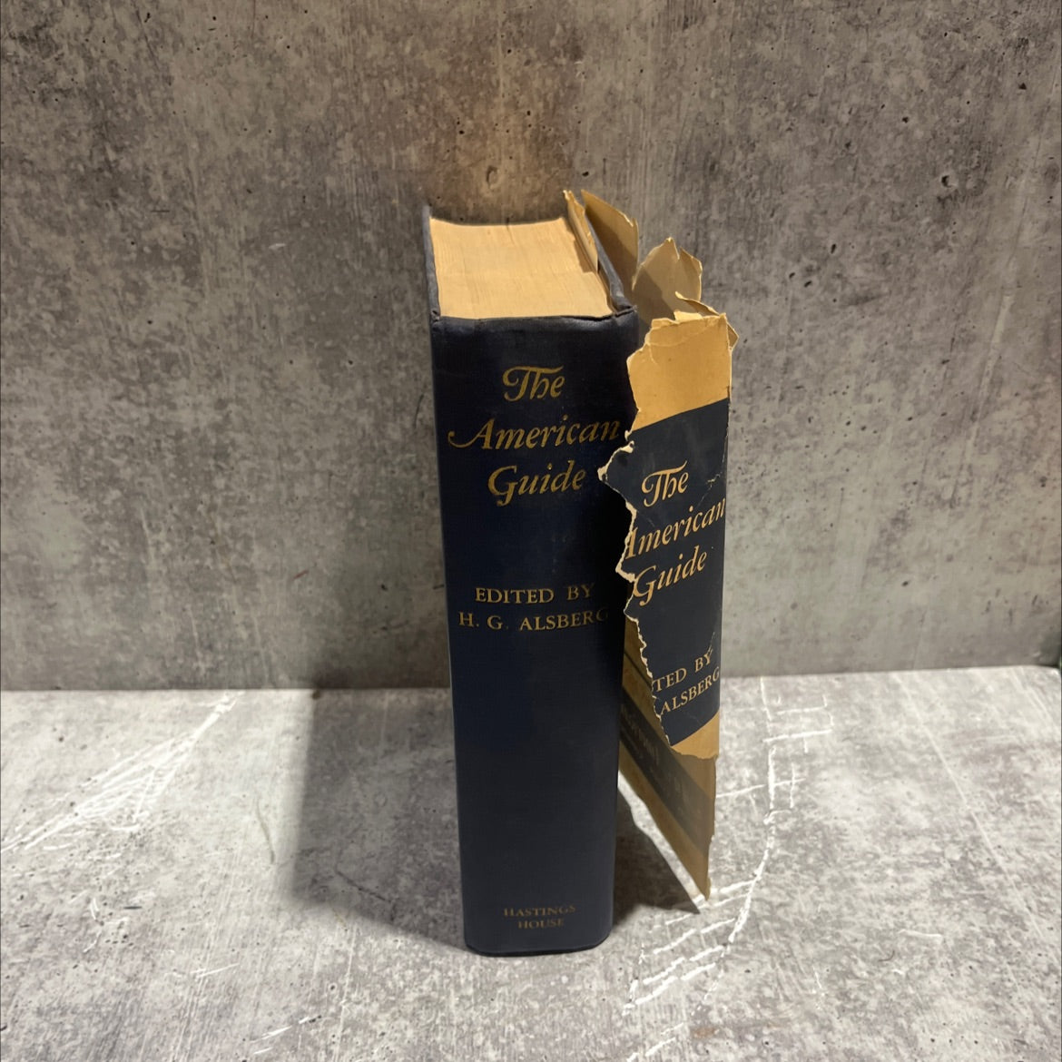 the american guide book, by henry g. alsberg, 1949 Hardcover image 4