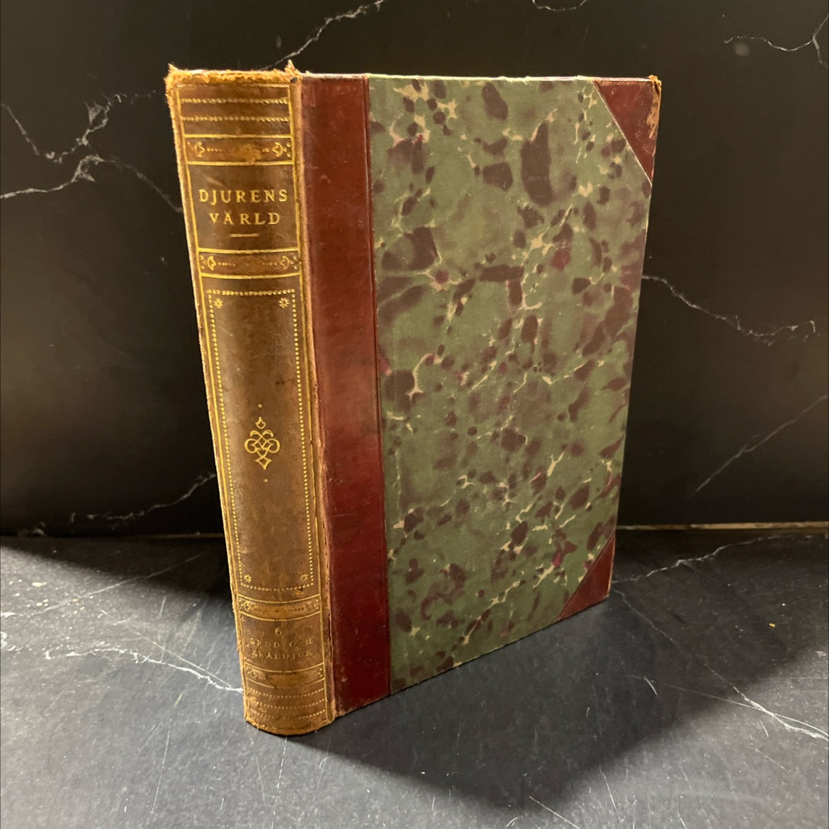 the animal world a popular scientific presentation of animal life based on brehm's tierleben book, by ingvald image 1