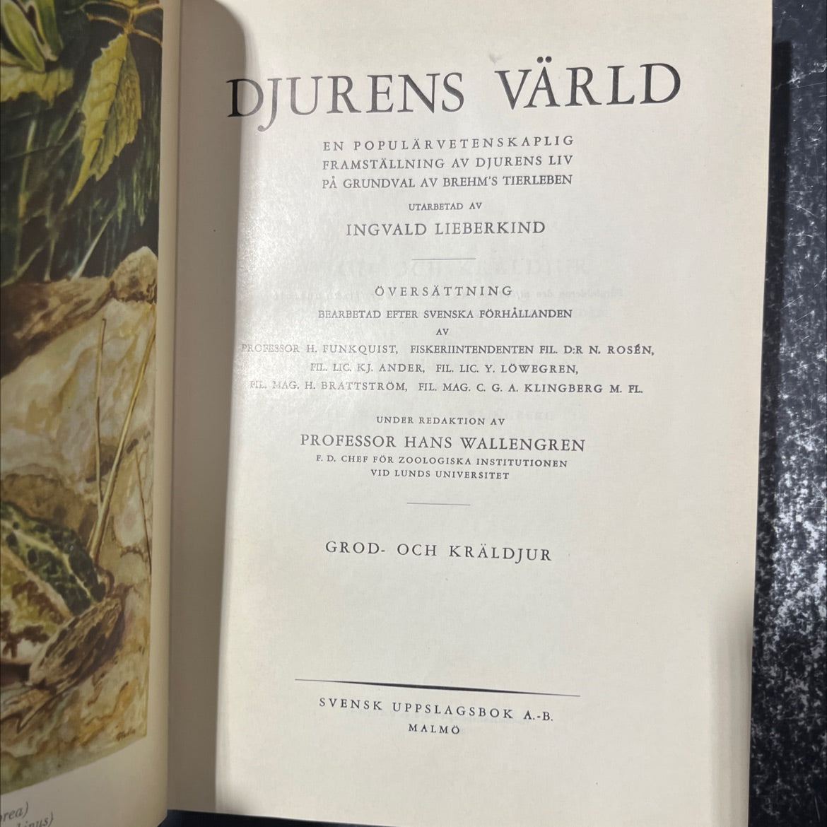 the animal world a popular scientific presentation of animal life based on brehm's tierleben book, by ingvald image 2