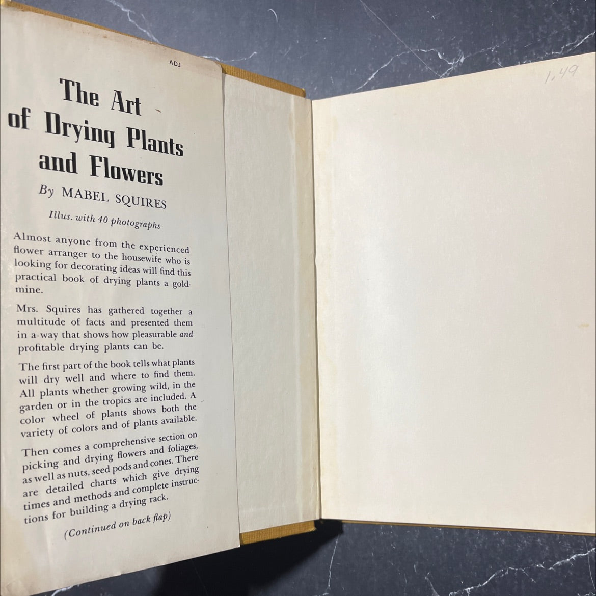 the art of drying plants and flowers book, by Mabel Squires, 1958 Hardcover image 4