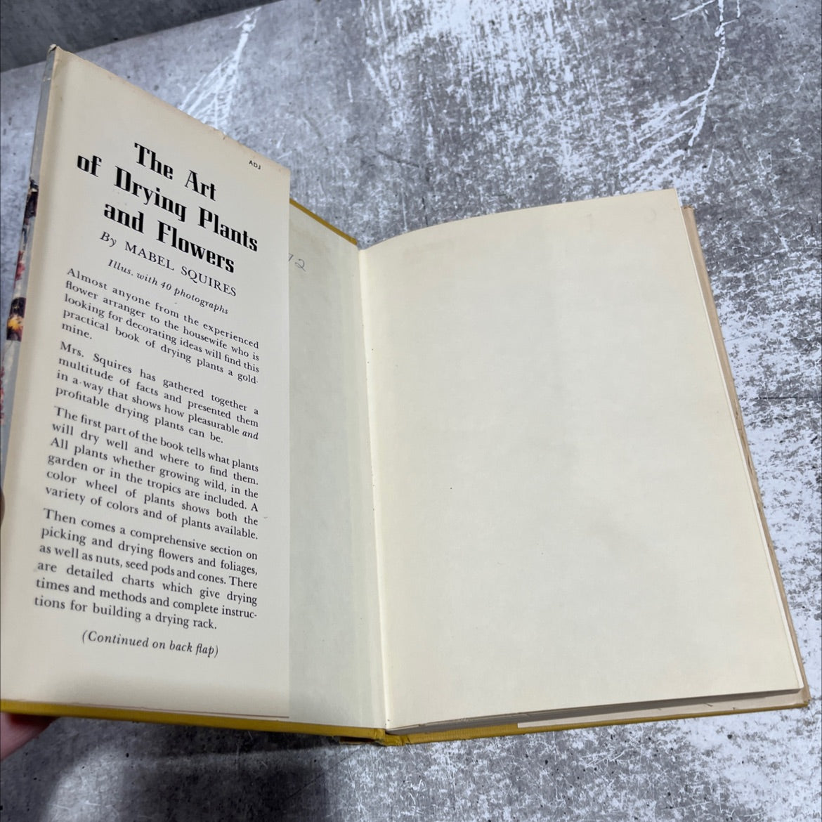 the art of drying plants and flowers book, by Mabel Squires, 1958 Hardcover image 4