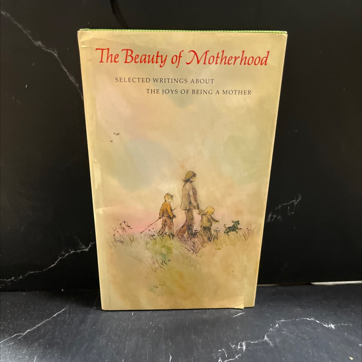 the beauty of motherhood selected writings about the joys of being a mother book, by Bette Bishop, 1967 Hardcover image 1