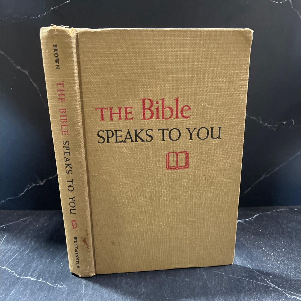 the bible speaks to you book, by robert mcafee brown, 1955 Hardcover image 1