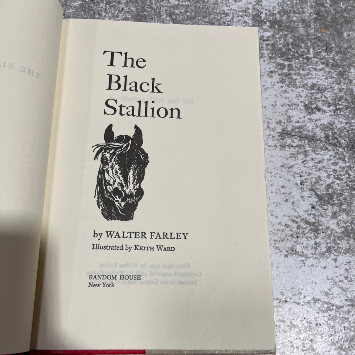 the black stallion book, by walter farley, 1968 Hardcover image 2
