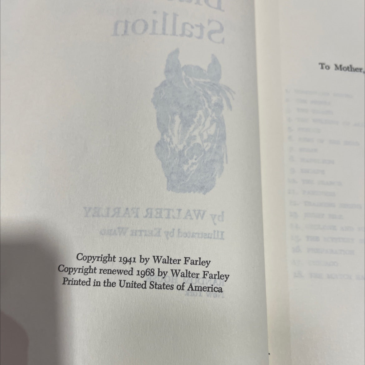 the black stallion book, by walter farley, 1968 Hardcover image 3