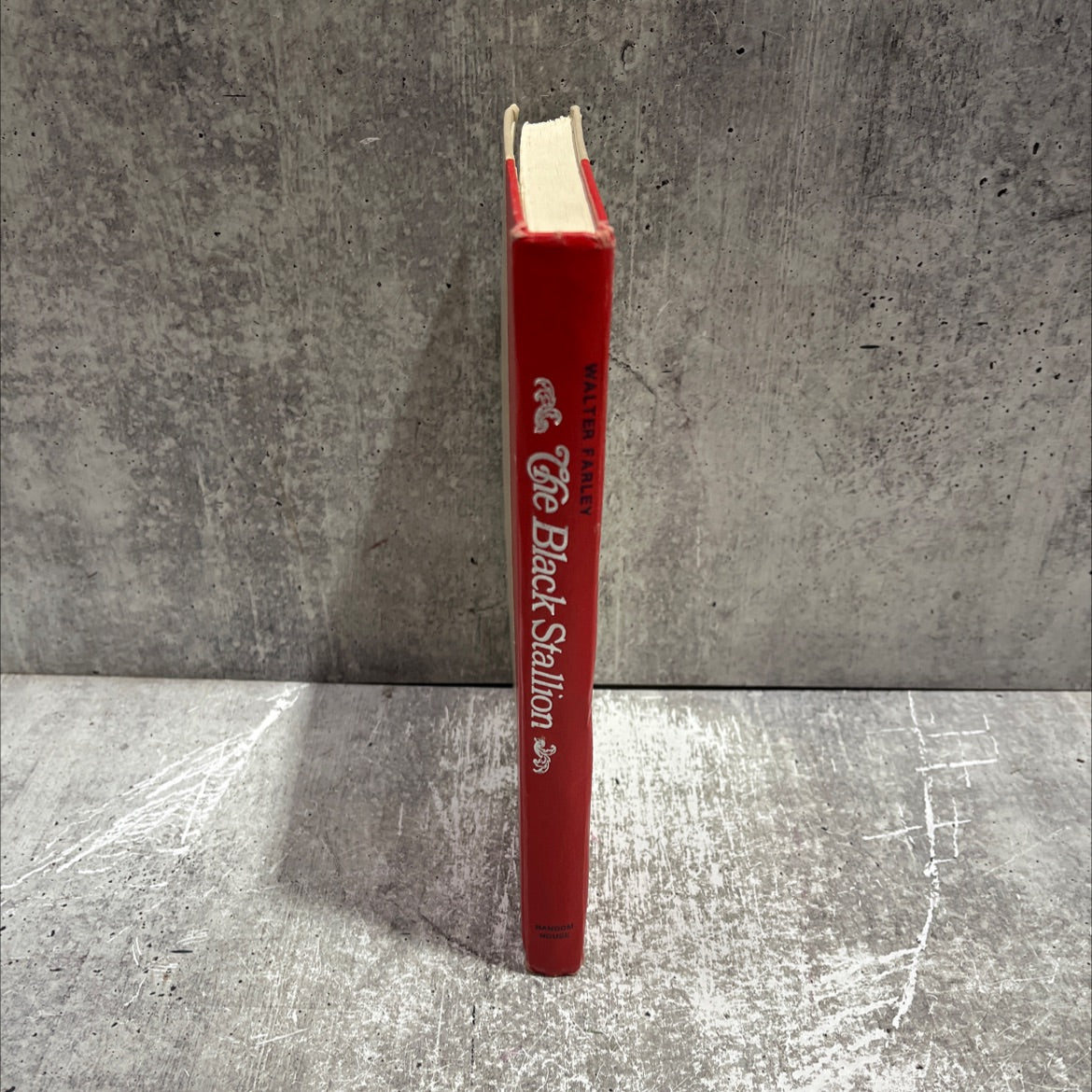 the black stallion book, by walter farley, 1968 Hardcover image 4