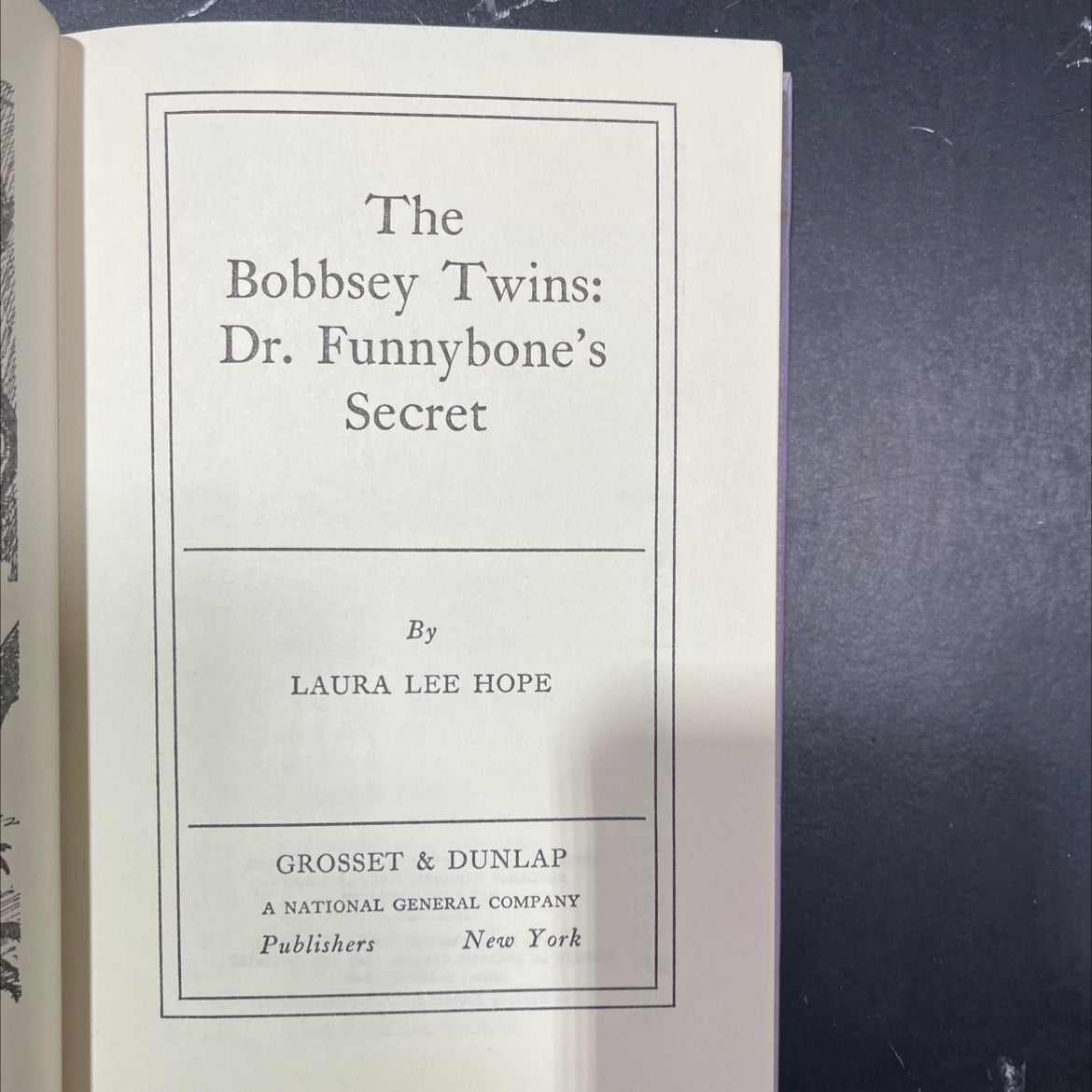 the bobbsey twins: dr. funnybone's secret book, by laura lee hope, 1972 Hardcover image 2