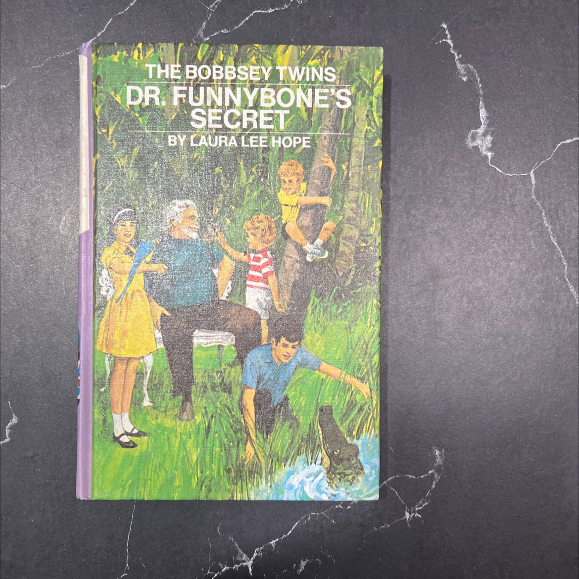 the bobbsey twins: dr. funnybone's secret book, by laura lee hope, 1972 Hardcover image 1