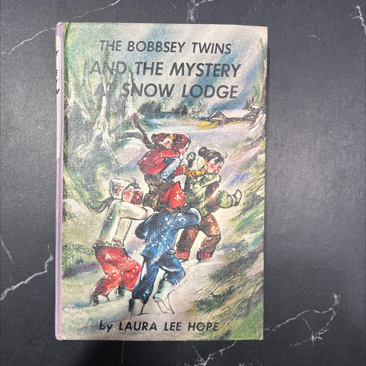 the bobbsey twins and the mystery at snow lodge book, by laura lee hope, 1970 Hardcover image 1