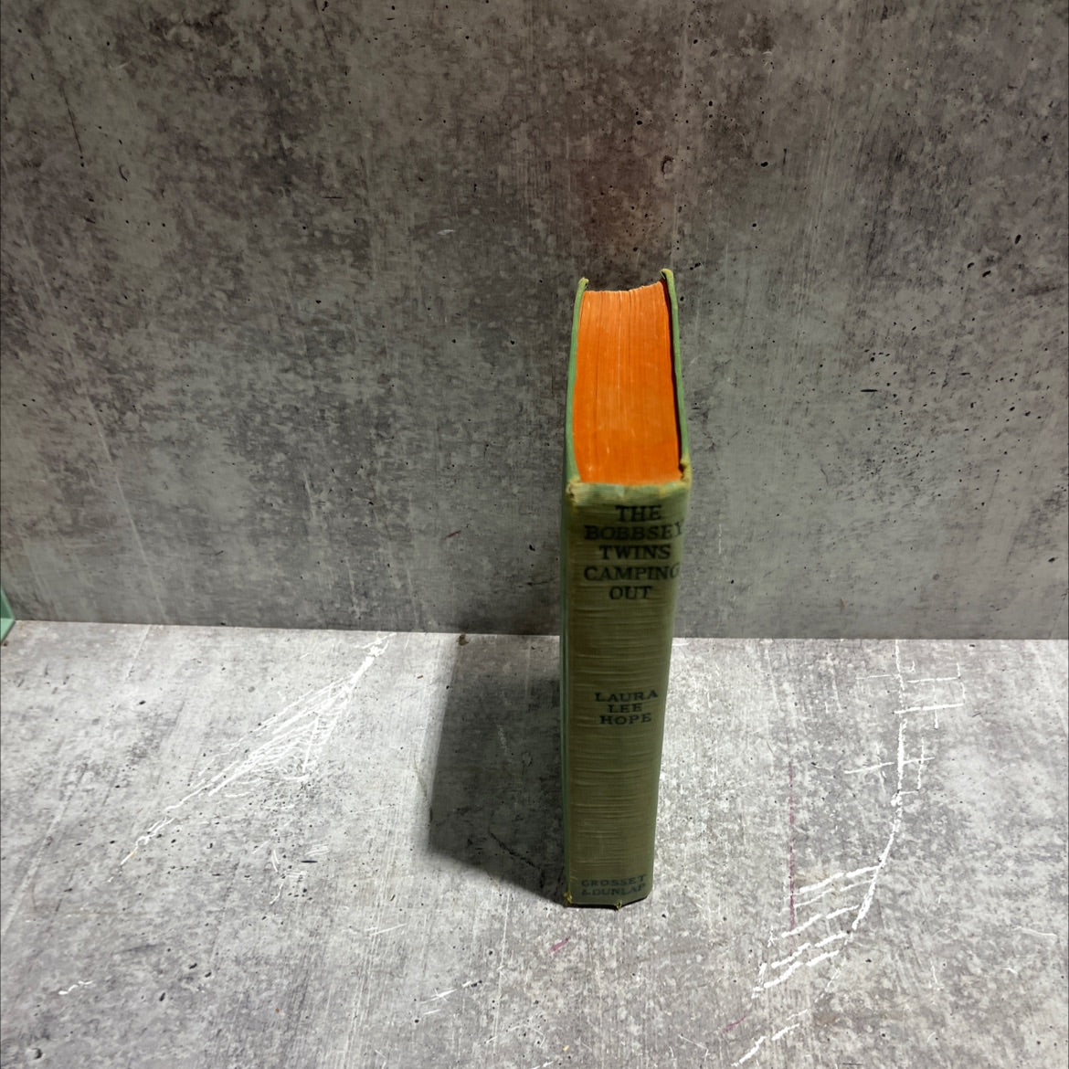 the bobbsey twins camping out book, by laura lee hope, 1923 Hardcover image 4