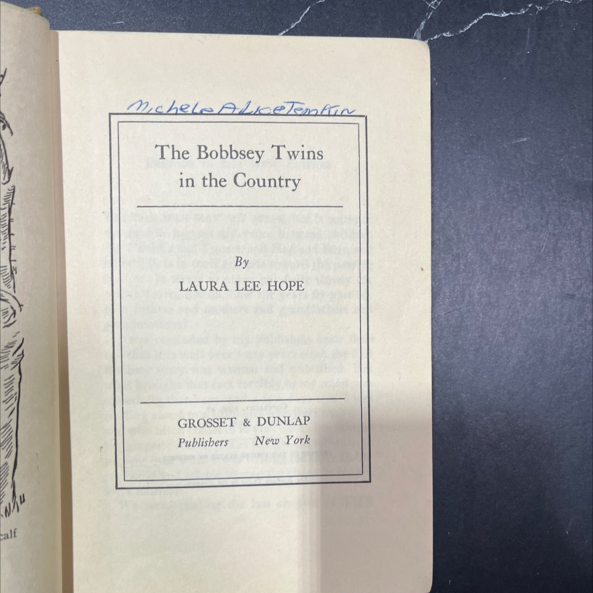 the bobbsey twins in the country book, by laura lee hope, 1950 Hardcover image 2