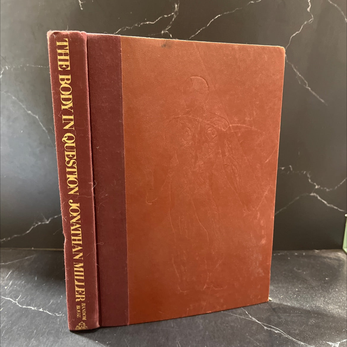 the body in question book, by Jonathan Miller, 1978 Hardcover image 1
