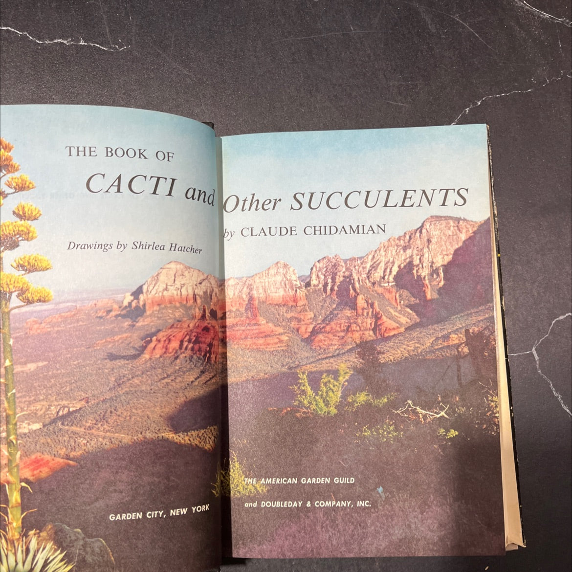 the book of cacti and other succulents book, by Claude Chidamian, 1958 Hardcover image 2