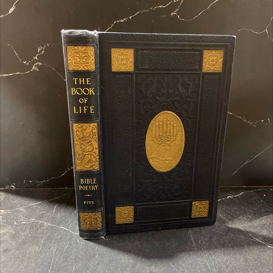 the book of life than rubies book, by john prittie, newton marshall hall, irving francis wood, 1925 Hardcover image 1