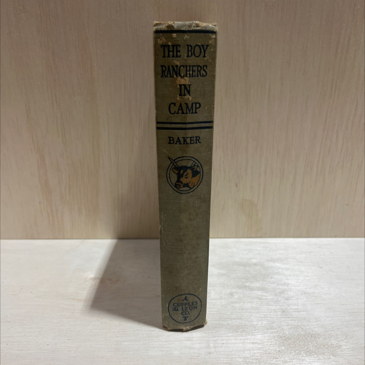 the boy ranchers in camp or the water fight at diamond x book, by willard f. baker, 1921 Hardcover image 4