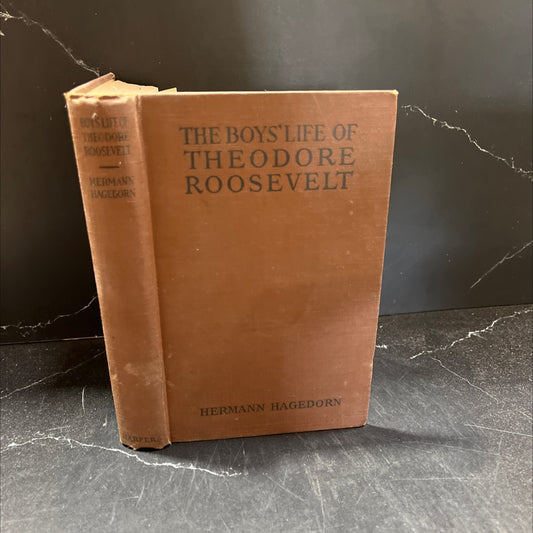 the boys' life of theodore roosevelt book, by hermann hagedorn, 1918 Hardcover image 1
