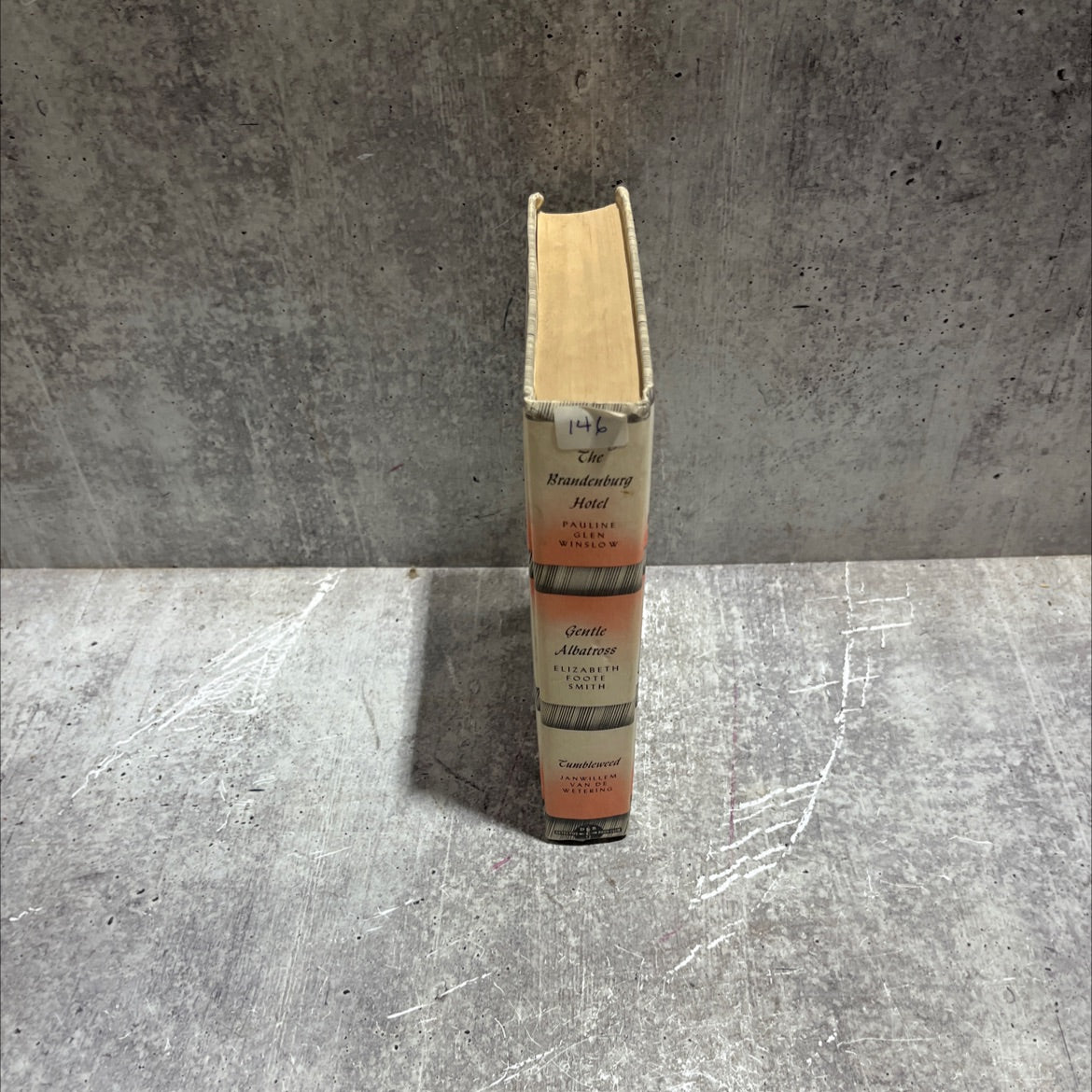 the brandenburg hotel book, by pauline glen winslow, 1976 Hardcover image 4