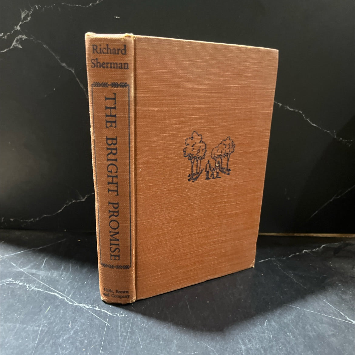 the bright promise book, by richard sherman, 1947 Hardcover image 1