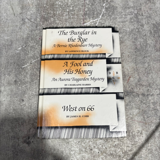 the burglar in the rye book, by lawrence block, 1999 Hardcover image 1