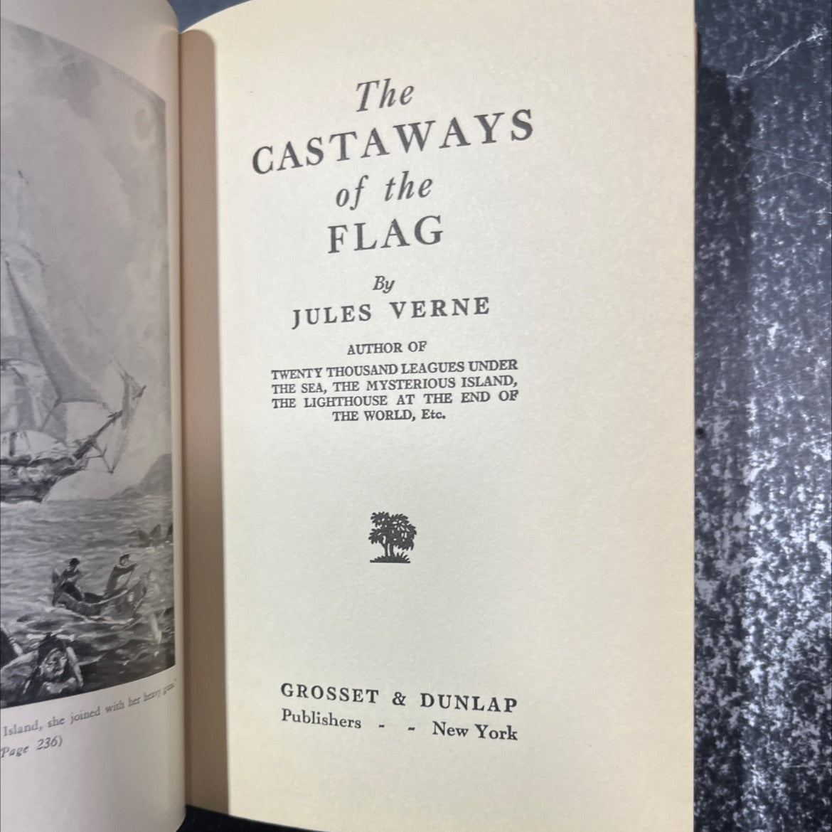 the castaways of the flag book, by jules verne, 1924 Hardcover image 2