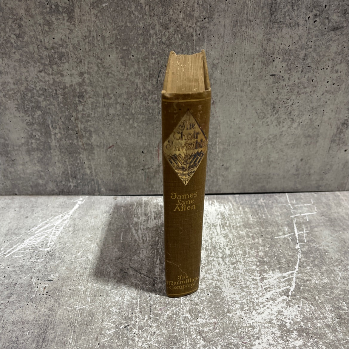 the choir invisible book, by james lane allen, 1897 Hardcover image 4