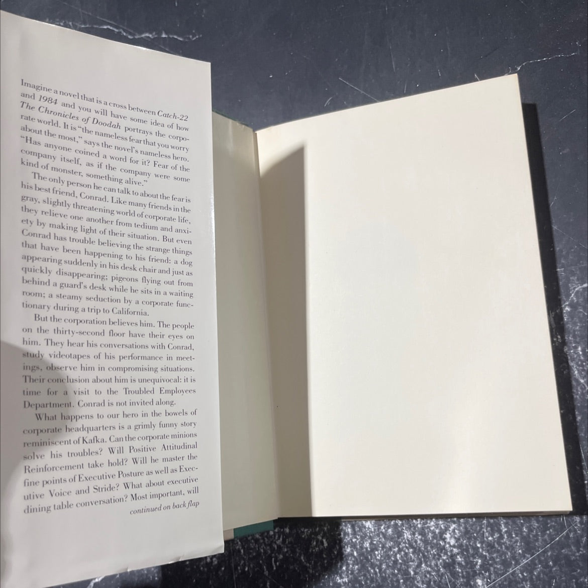 the chronicles of doodah book, by George Lee Walker, 1985 Hardcover image 4