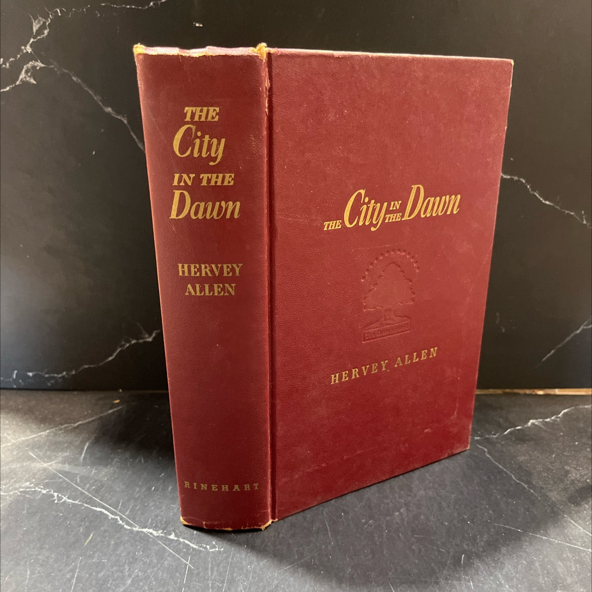 the city in the dawn book, by hervey allen, 1948 Hardcover image 1