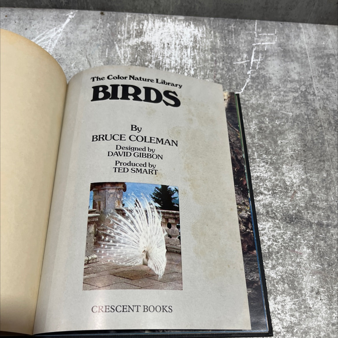 the color nature library birds book, by bruce coleman, 1997 Hardcover image 2