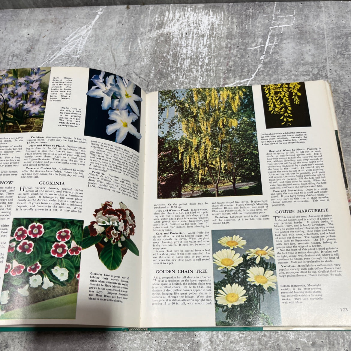 the complete guide to garden flowers book, by herbert askwith, 1972 Hardcover image 4