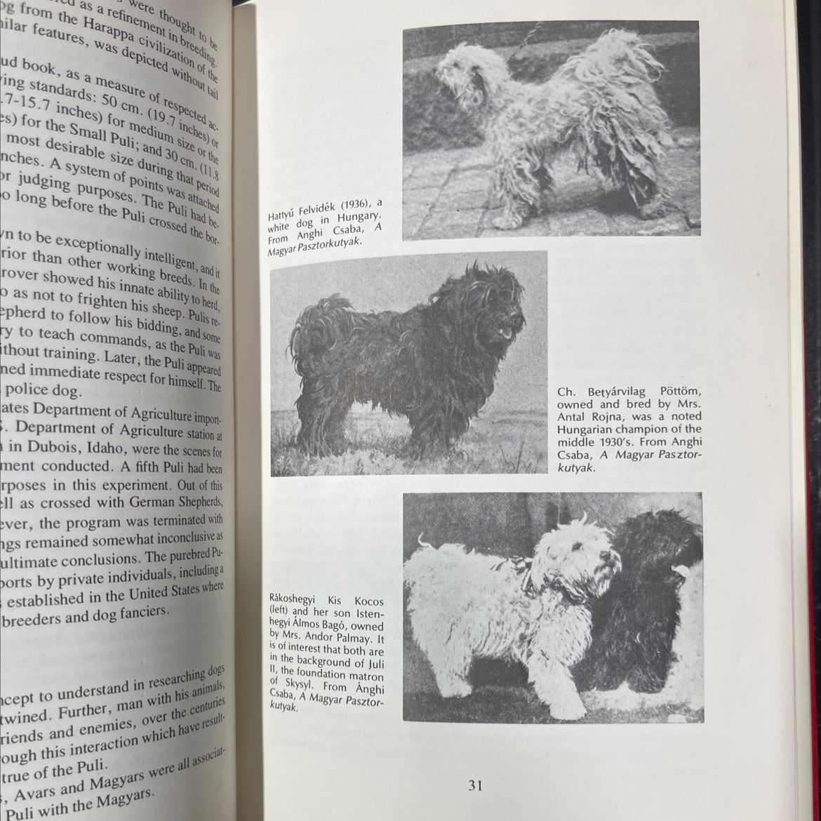 the complete puli book, by sylvia c. owen, 1976 Hardcover image 4