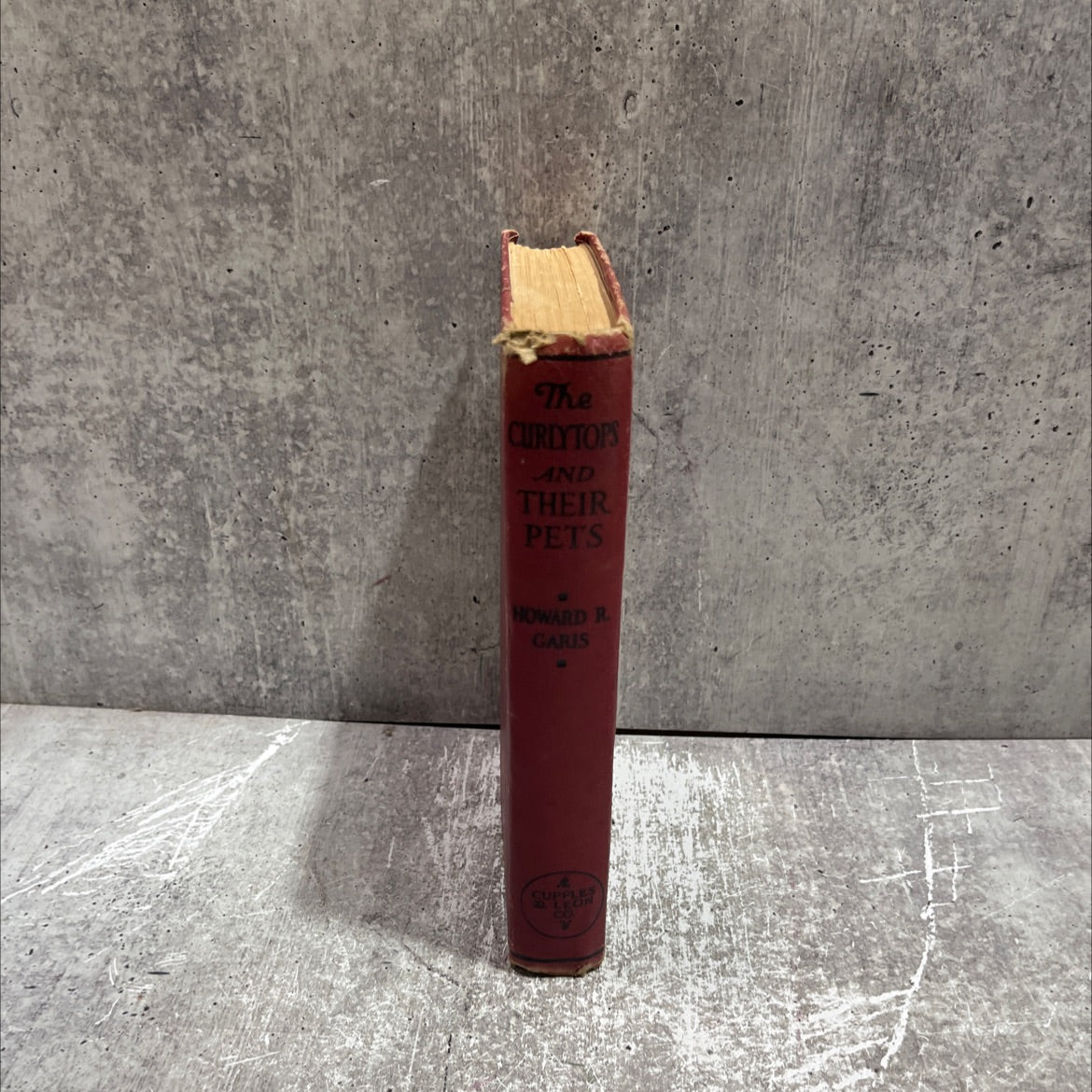 the curlytops and their pets or uncle toby's strange collection book, by howard r. garis, 1921 Hardcover image 4