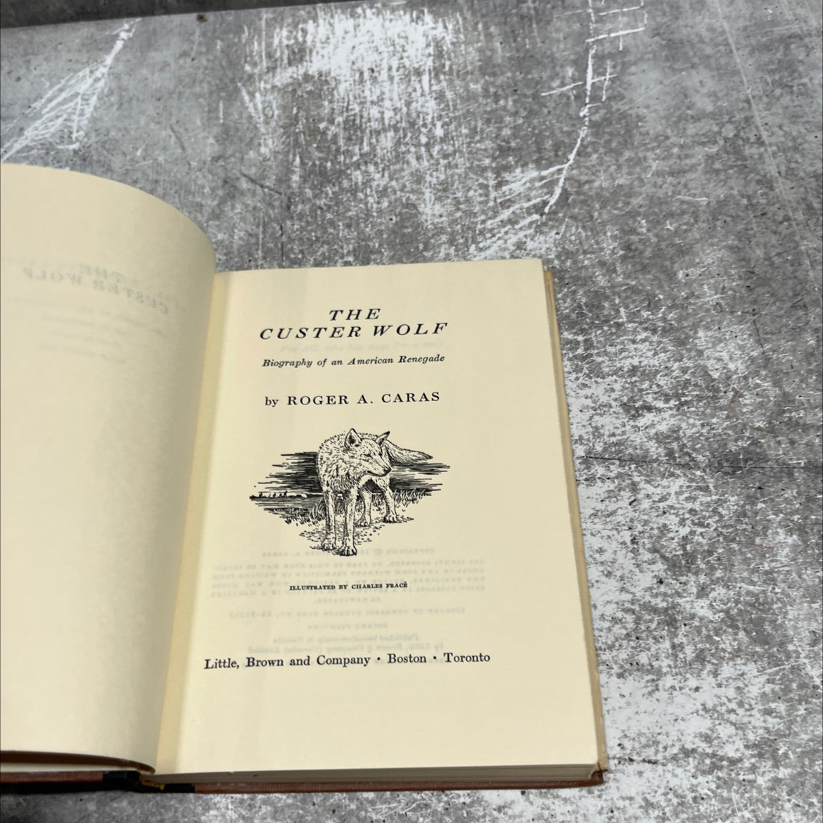 the custer wolf biography of an american renegade book, by roger a. caras, 1966 Hardcover image 2