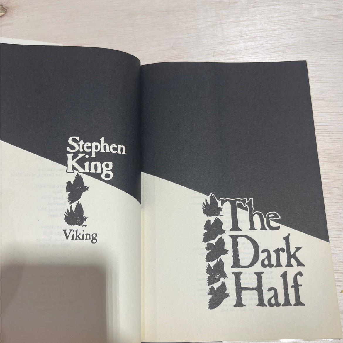 the dark half book, by Stephen King, 1999 Hardcover image 2