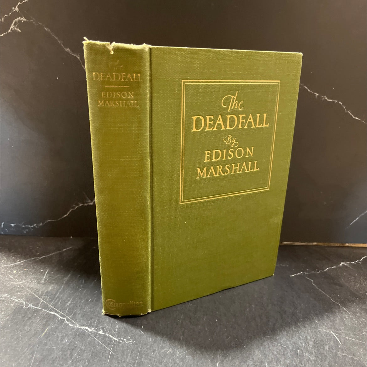 the deadfall book, by edison marshall, 1927 Hardcover image 1