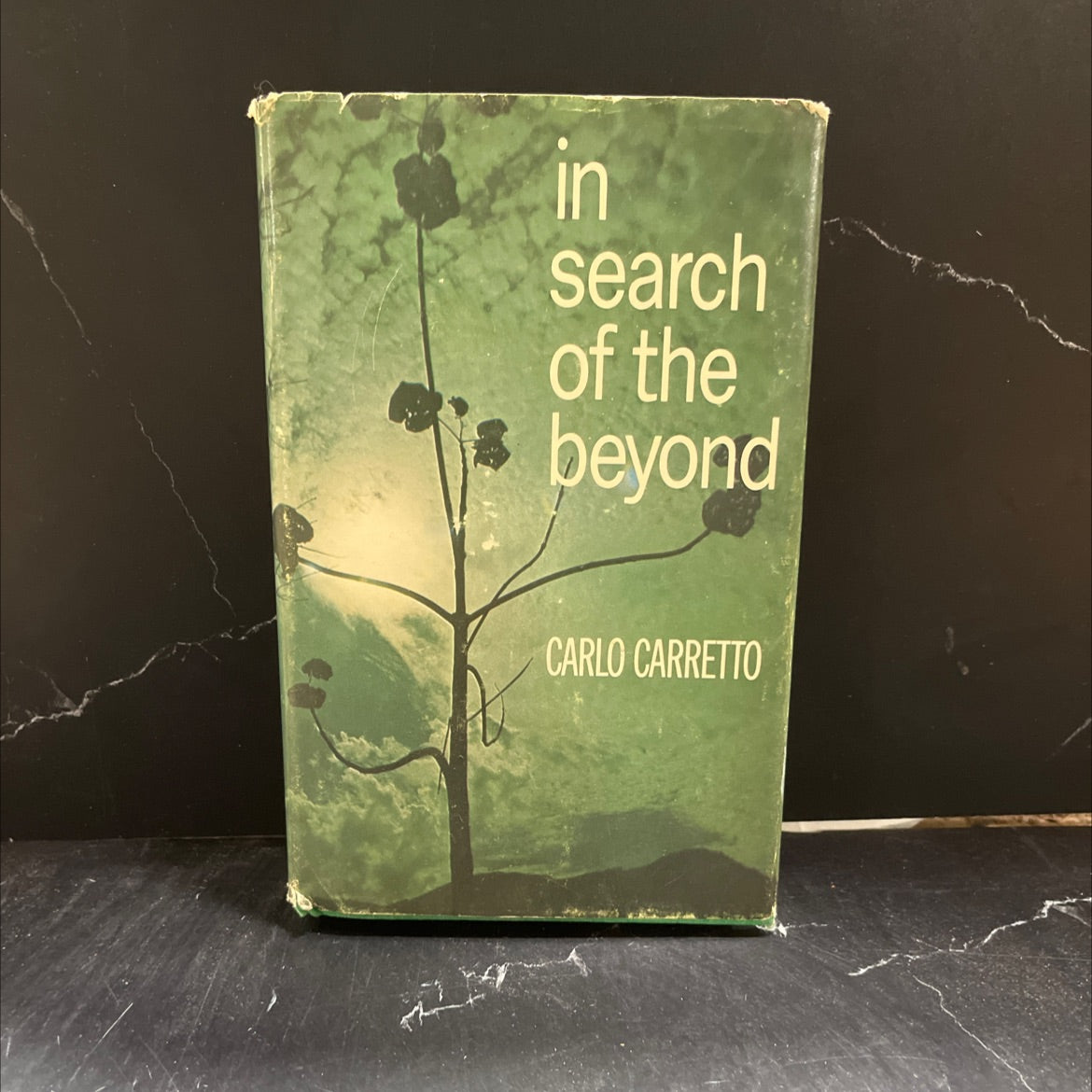the desert who comes in search of the beyond book, by carlo carretto, 1976 Hardcover image 1